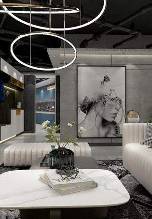 �׸���˹• INSϵ����Ʒ�|(zh��)����ē������b��Ч���D